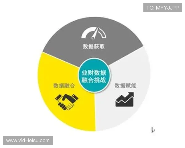 数字化升级阶段内嵌入式植入接口落地 激活了体育数字资产体系在存量市场增量